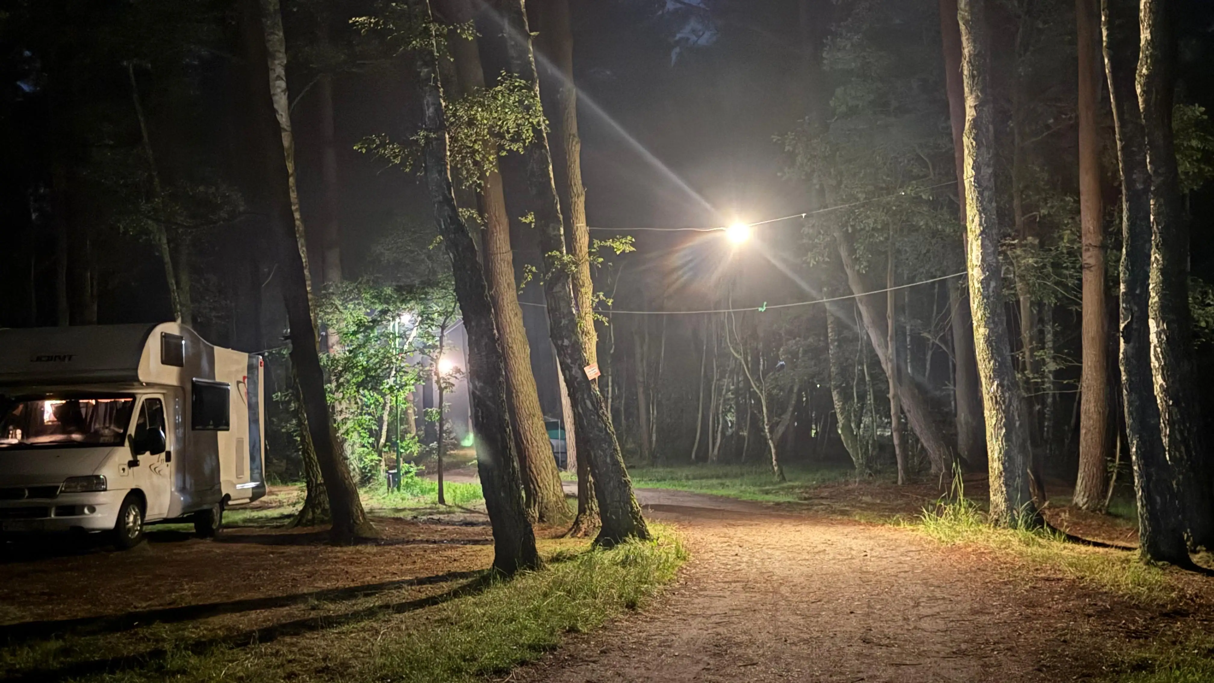 Pole namiotowe Leśne 14