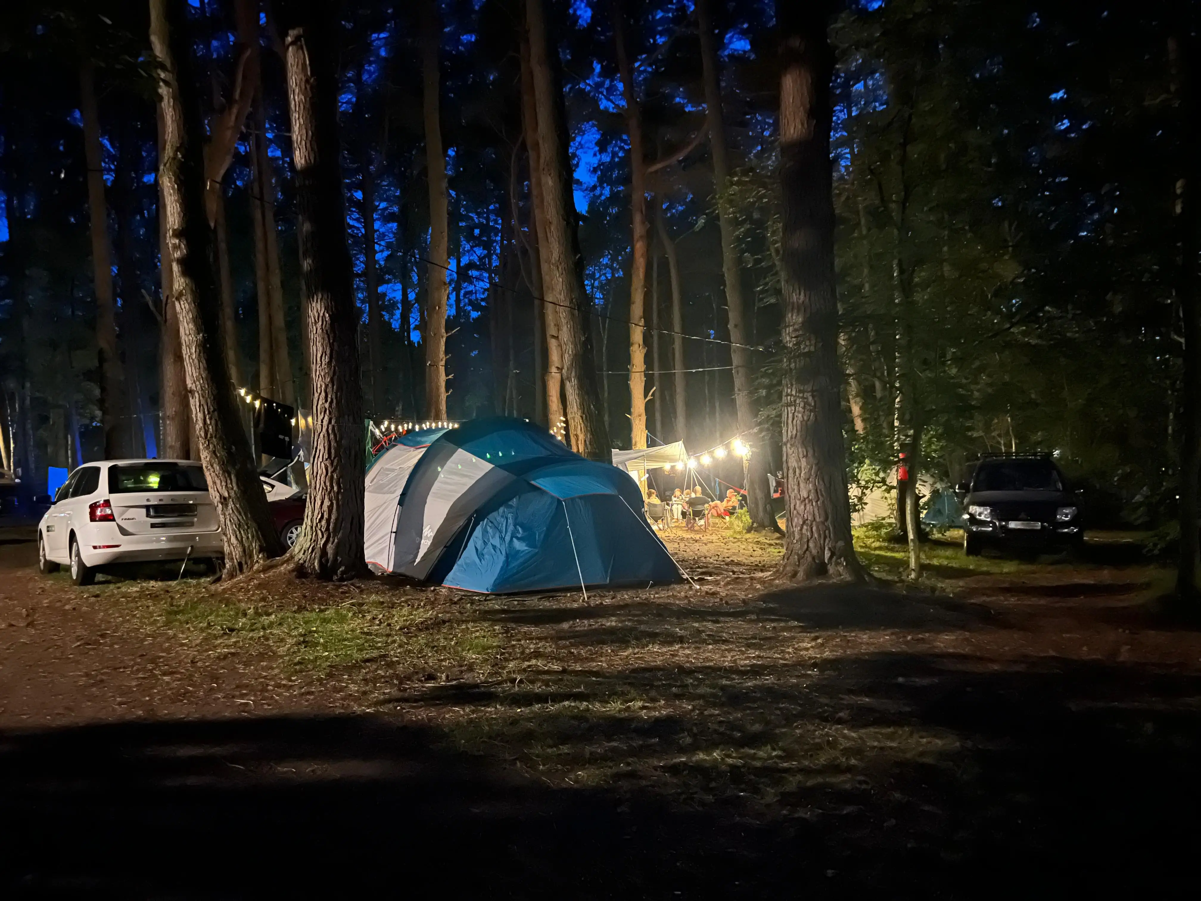 Pole namiotowe Leśne 26