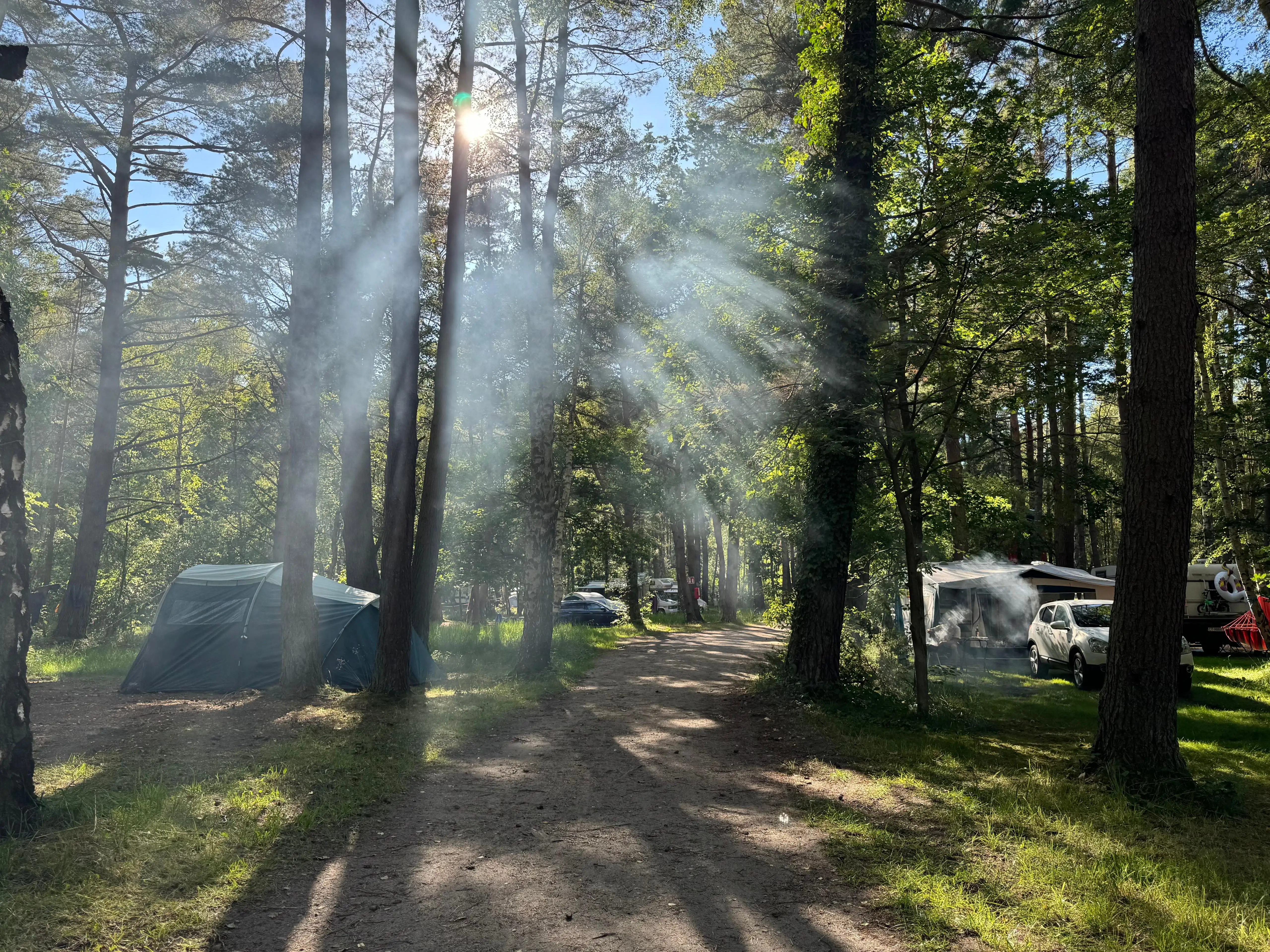 Pole namiotowe Leśne 22