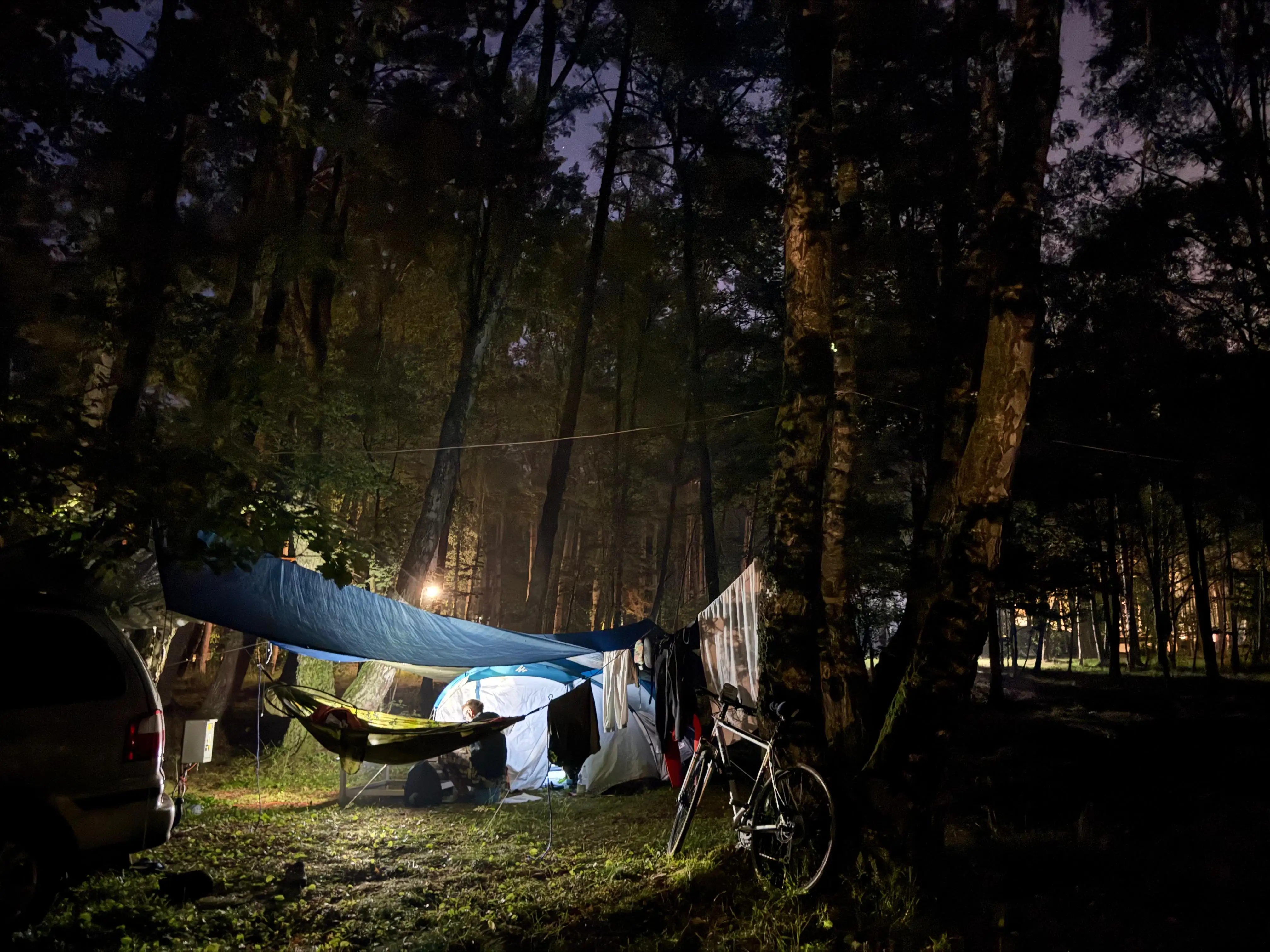 Nocny biwak pod sosnami na polu Leśne