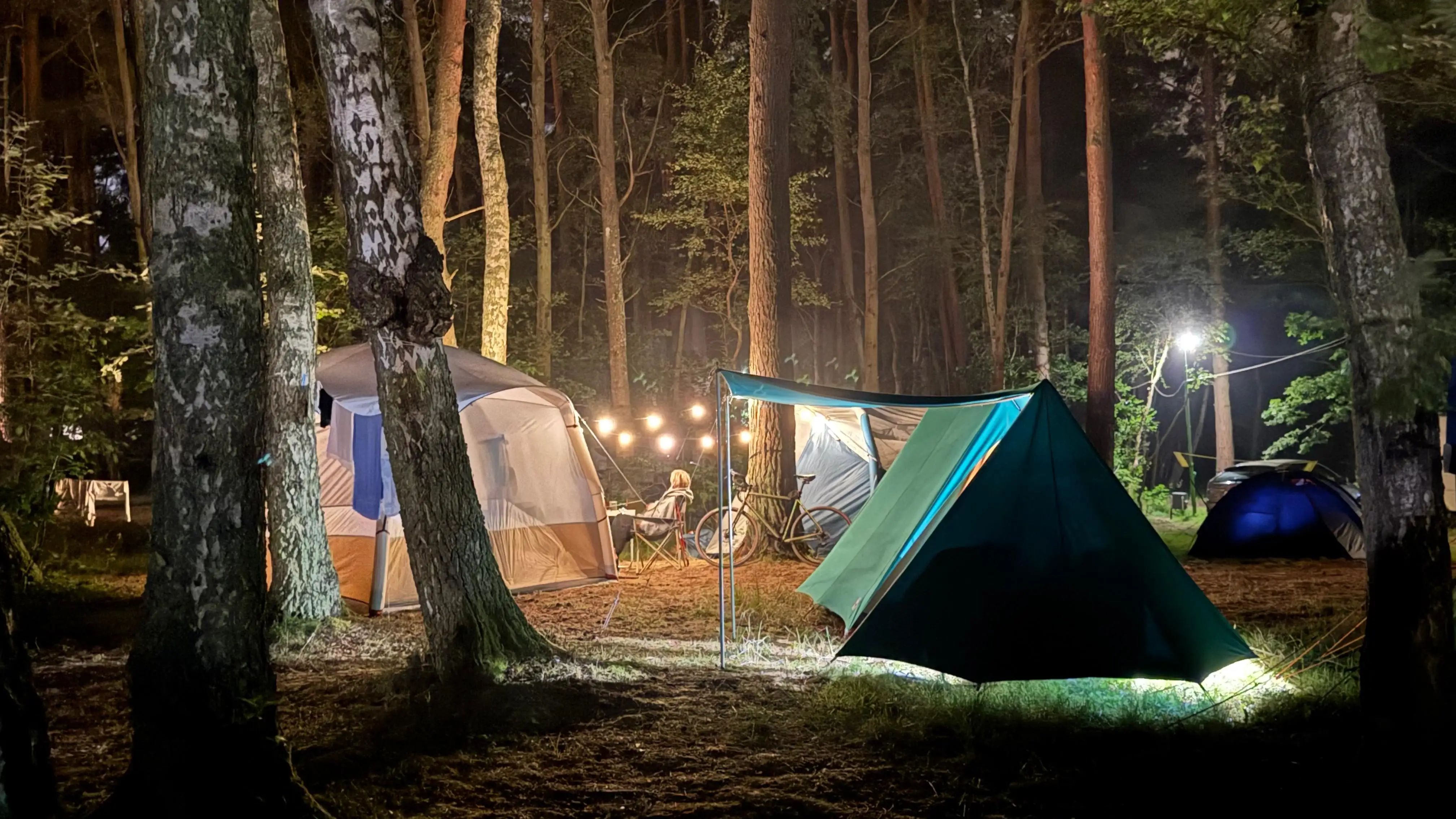 Pole namiotowe Leśne 11