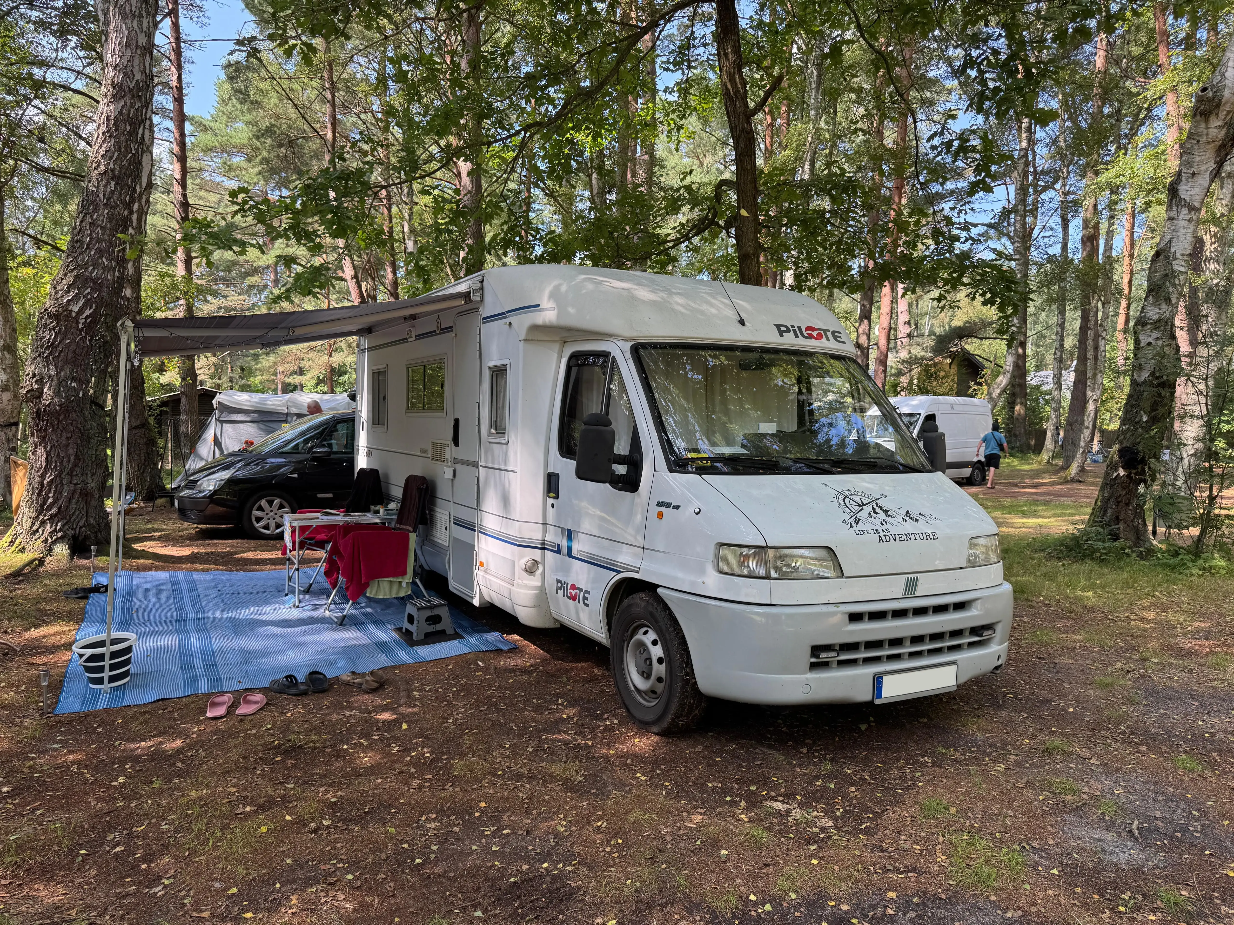 Pole namiotowe Leśne 31