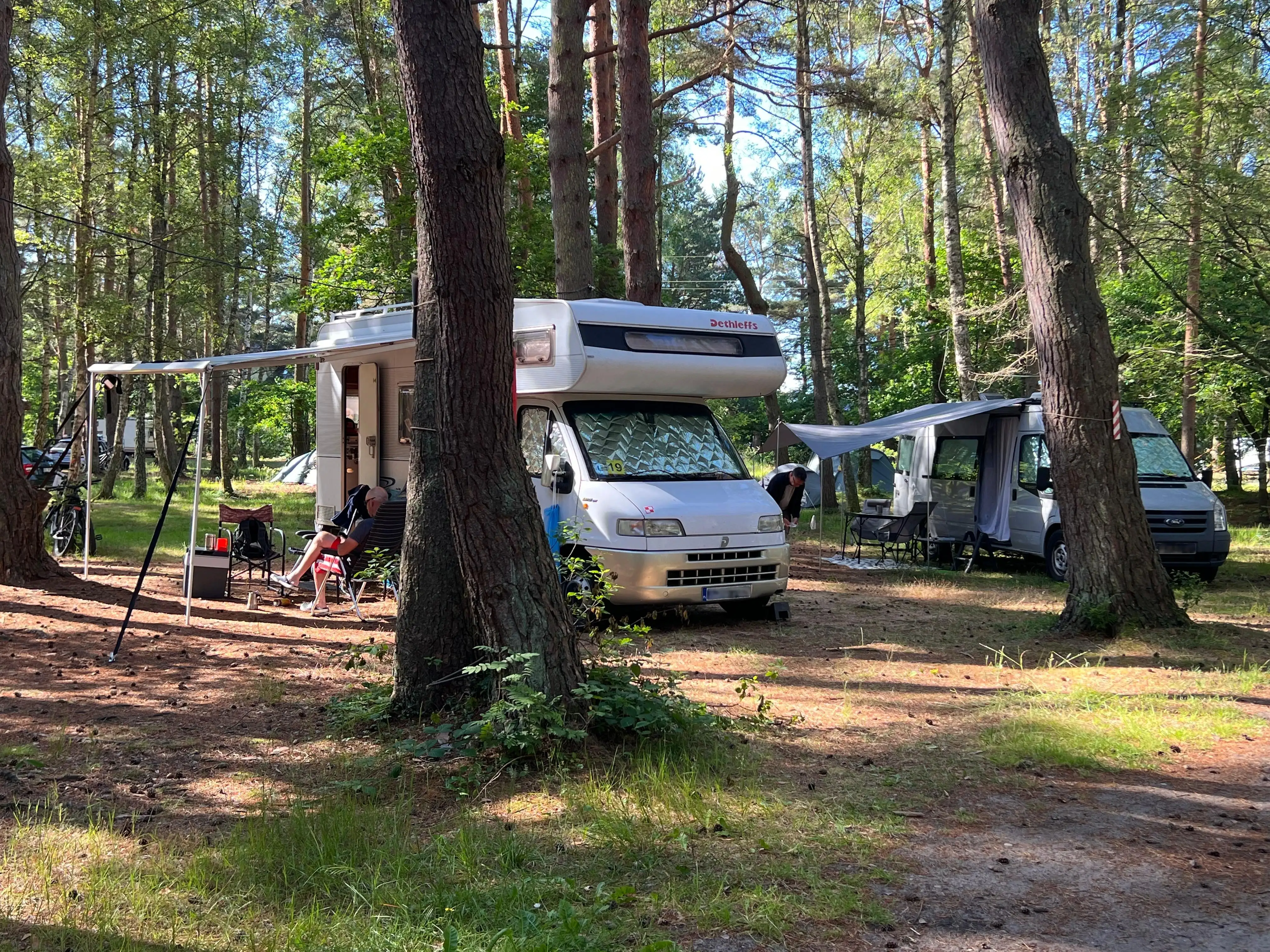 Pole namiotowe Leśne 2
