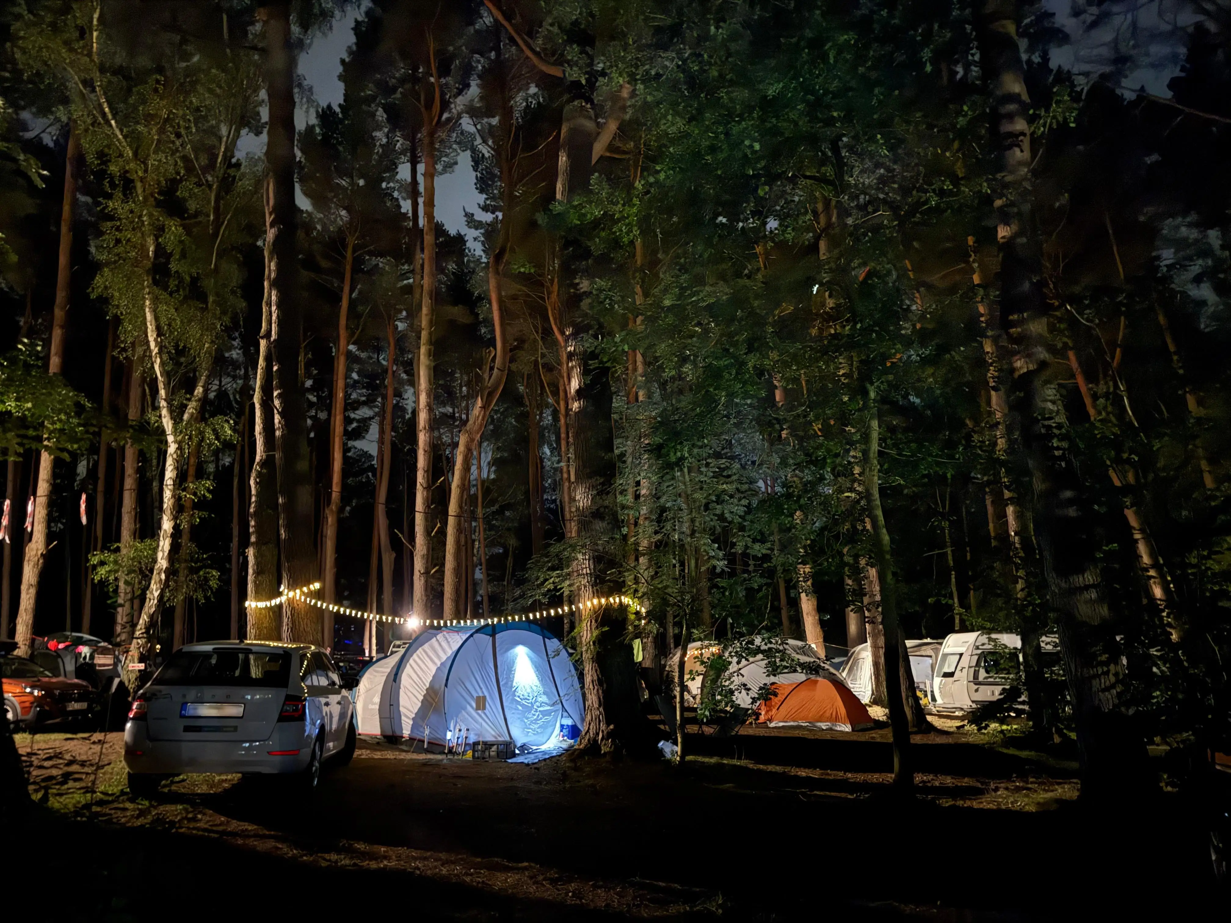 Pole namiotowe Leśne 30