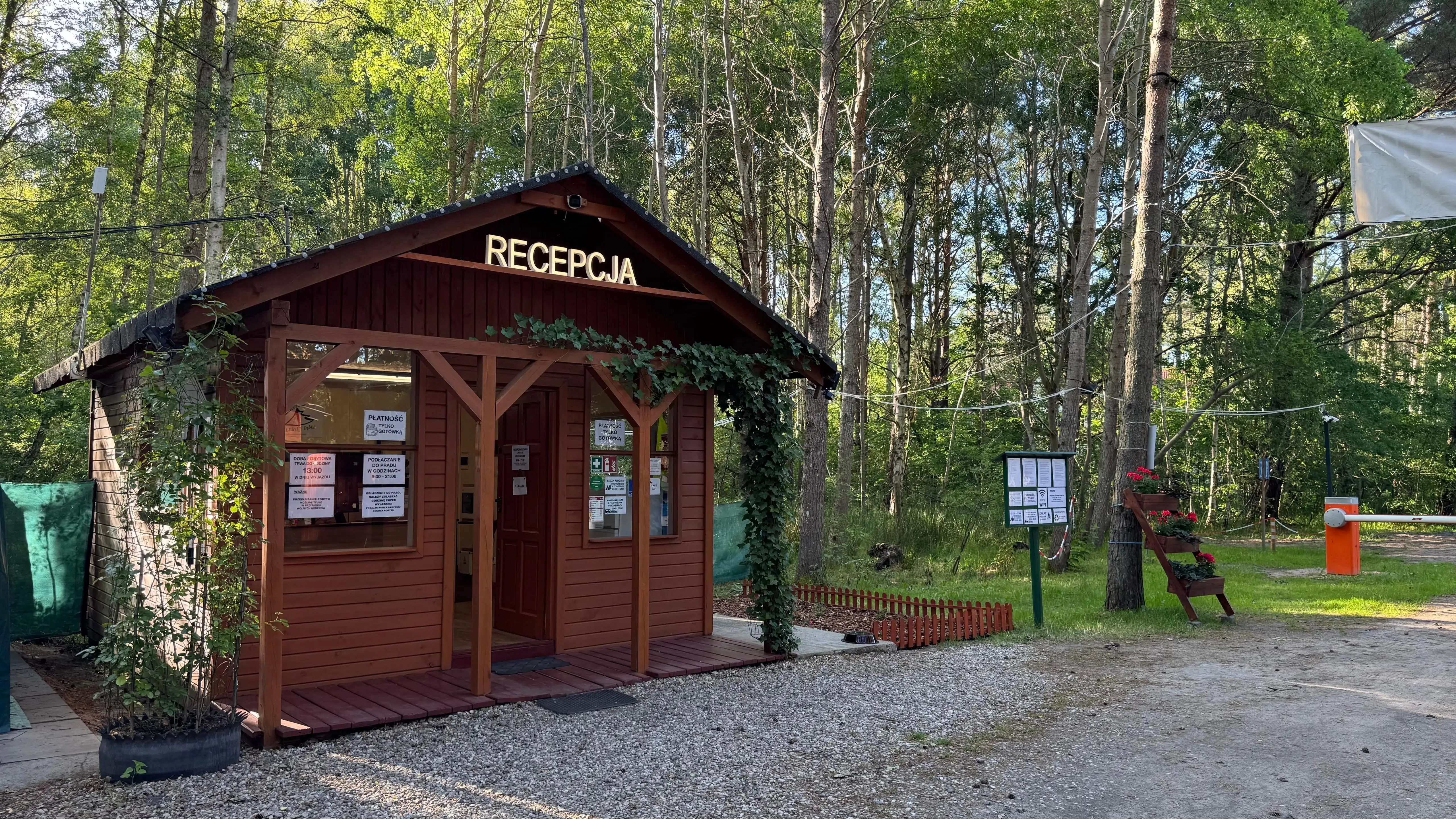 Recepcja pola namiotowego Leśne