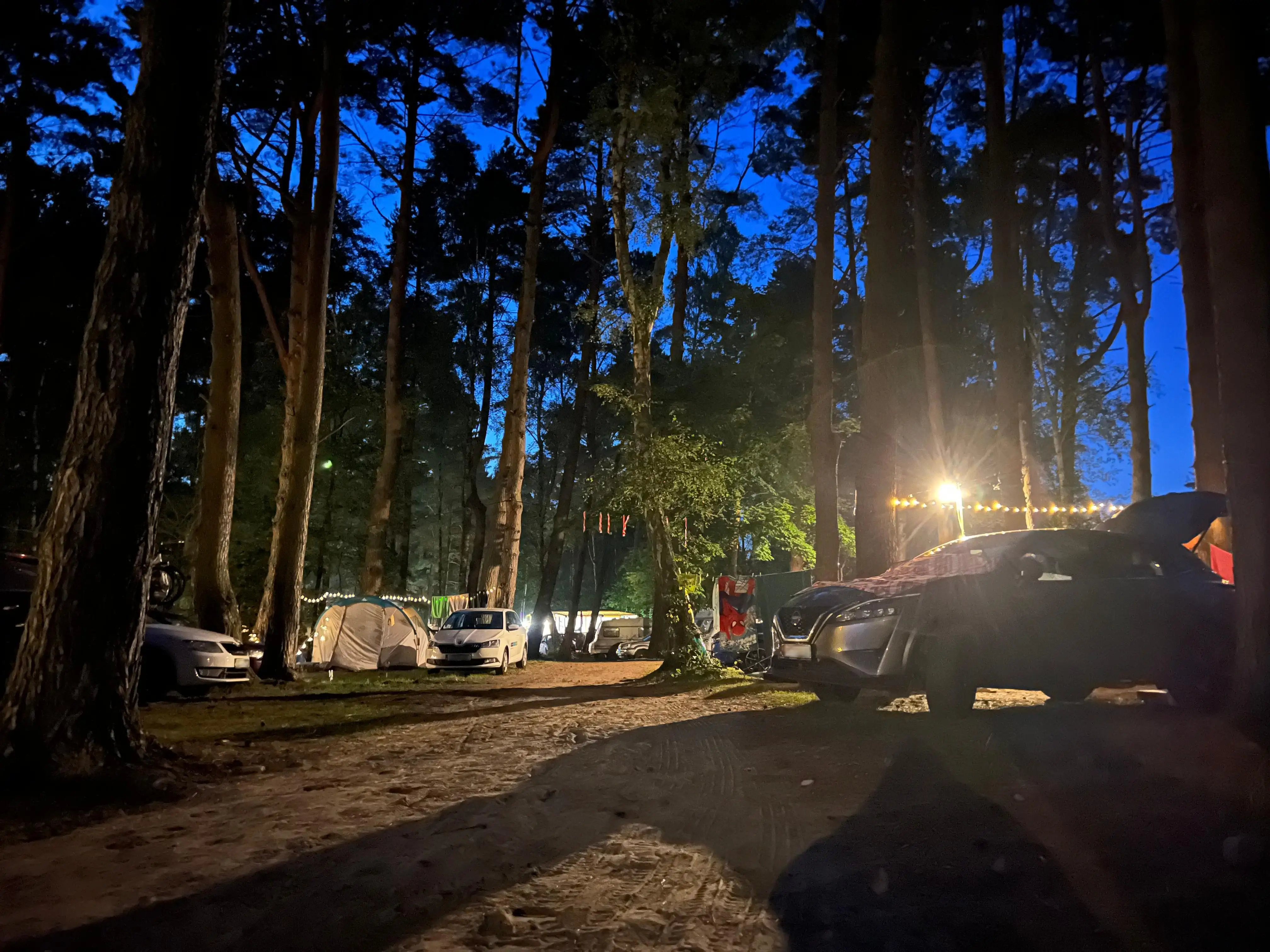 Pole namiotowe Leśne 25