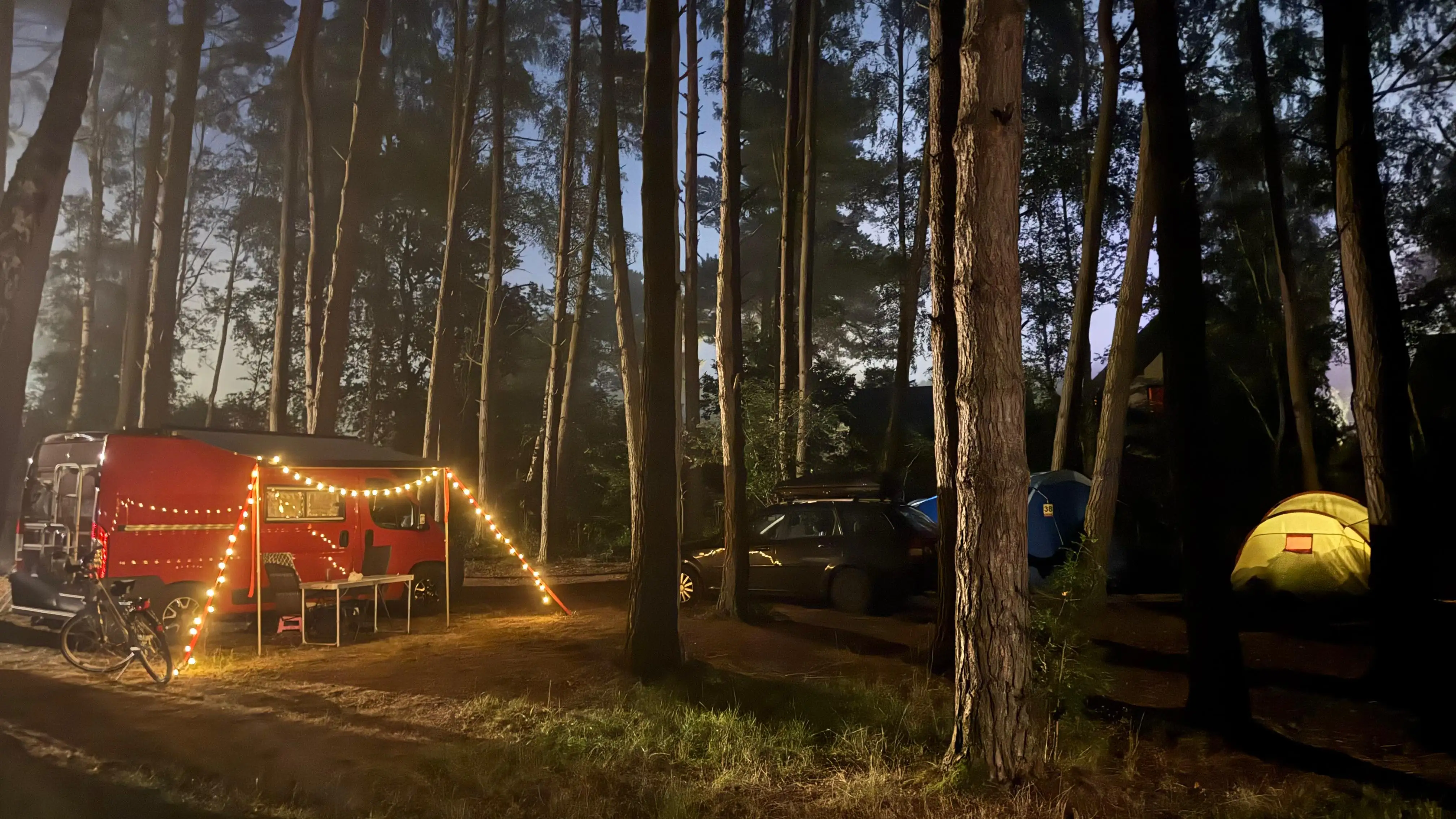 Pole namiotowe Leśne 20